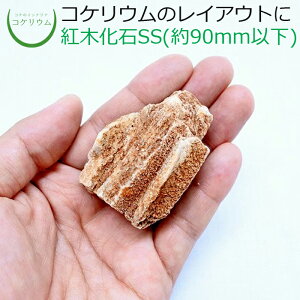 yeE RPE  RP ۃeE ۃE ANAE ANAeE ϗtA | nChJ`[ K[fjO O[ CeA  ۖ~  moss VR 