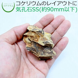 yeE RPE  RP ۃeE ۃE ANAE ANAeE ϗtA | nChJ`[ K[fjO O[ CeA  ۖ~  moss VR 