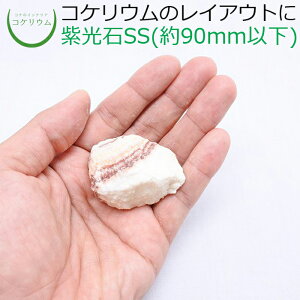 yeE RPE  RP ۃeE ۃE ANAE ANAeE ϗtA | nChJ`[ K[fjO O[ CeA  ۖ~  moss VR 