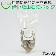 【テラリウム コケリウム 苔 コケ 苔テラリウム 苔リウム アクアリウム アクアテラリウム 観葉植物 園芸 …