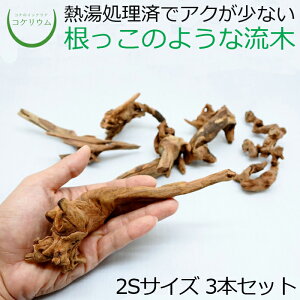 テラリウム 流木の人気商品 通販 価格比較 価格 Com