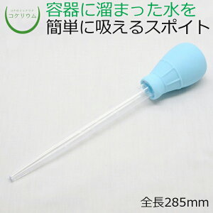 �y�e�����E�� �A�N�A�e�����E�� �R�P���E�� �� �R�P �ۃe�����E�� �ۃ��E�� �A�N�A���E�� �ϗt�A�� ���| �n�C�h���J���`���[ �K�[�f�j���O �O���[�� �C���e���A �� �ۖ~�� ���� moss ���S�ҁz