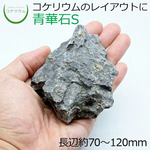 yeE RPE  RP ۃeE ۃE ANAE ANAeE ϗtA | nChJ`[ K[fjO O[ CeA  ۖ~  moss VR 