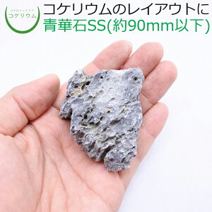 【テラリウム コケリウム 苔 コケ 苔テラリウム 苔リウム アクアリウム アクアテラリウム 観葉植物 園芸 ハイドロカルチャー ガーデニング グリーン インテリア 緑 苔盆栽 癒し moss 天然石