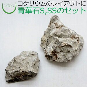 yeE RPE  RP ۃeE ۃE ANAE ANAeE ϗtA | nChJ`[ K[fjO O[ CeA  ۖ~  moss VR 