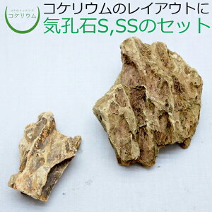 【テラリウム コケリウム 苔 コケ 苔テラリウム 苔リウム アクアリウム アクアテラリウム 観葉植物 園芸 ハイドロカルチャー ガーデニング グリーン インテリア 緑 苔盆栽 癒し moss 天然石