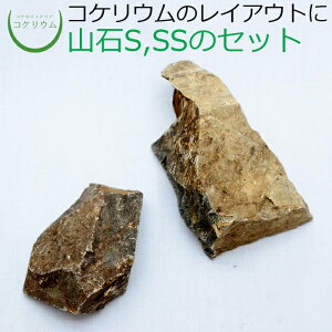 【テラリウム コケリウム 苔 コケ 苔テラリウム 苔リウム アクアリウム アクアテラリウム 観葉植物 園芸 ハイドロカルチャー ガーデニング グリーン インテリア 緑 苔盆栽 癒し moss 天然石