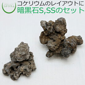 楽天市場 暗黒石の通販