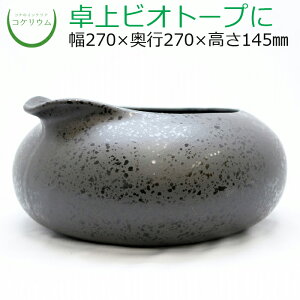 水槽 観葉植物の人気商品 通販 価格比較 価格 Com