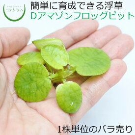 楽天市場 ビオトープ 苔の通販
