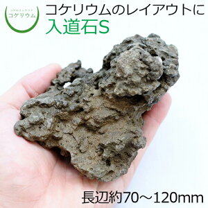 yeE RPE  RP ۃeE ۃE ANAE ANAeE ϗtA | nChJ`[ K[fjO O[ CeA  ۖ~  moss VR 