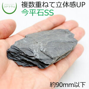 yeE RPE  RP ۃeE ۃE ANAE ANAeE ϗtA | nChJ`[ K[fjO O[ CeA  ۖ~  moss VR 