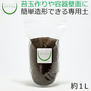 【テラリウム コケリウム 苔 コケ 苔テラリウム 苔リウム アクアリウム アクアテラリウム 観葉植物 園芸 ハイドロカルチャー ガーデニング グリーン インテリア 緑 苔盆栽 癒し moss 初心者