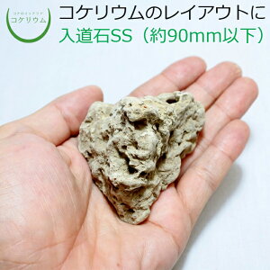 yeE RPE  RP ۃeE ۃE ANAE ANAeE ϗtA | nChJ`[ K[fjO O[ CeA  ۖ~  moss VR 