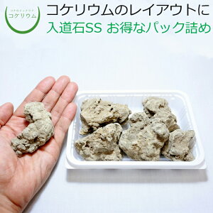 yeE RPE  RP ۃeE ۃE ANAE ANAeE ϗtA | nChJ`[ K[fjO O[ CeA  ۖ~  moss VR 