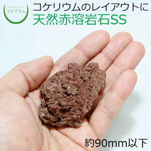 yeE RPE  RP ۃeE ۃE ANAE ANAeE ϗtA | nChJ`[ K[fjO O[ CeA  ۖ~  moss VR 