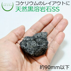 yeE RPE  RP ۃeE ۃE ANAE ANAeE ϗtA | nChJ`[ K[fjO O[ CeA  ۖ~  moss VR 