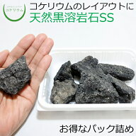 【テラリウム コケリウム 苔 コケ 苔テラリウム 苔リウム アクアリウム アクアテラリウム 観葉植物 園芸 …