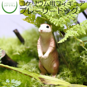 yϗtA  ~j eE tBMA ~jϗt RPE  RP ۃeE ۃE ANAE ANAeE | nChJ`[ K[fjO O[ C