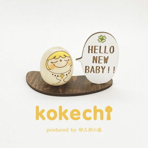 Vg bZ[W D MtgZbg y ܂ HELLO!! z oYj j̎q ̎q v[g Mtg 킢 ԁ@肢@炵  CeA ؐ { `H|i@蕨 u