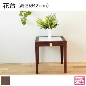 ԑi42cmjt[X^h Ƌ Y C EHibg ؐ 42xVp39cm VR 嗝  ԑij i` v[g Mtg j