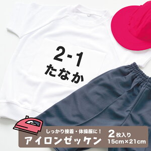 [bP 2 ACڒ 15cm×21cm ̑ X|[c pCIjA