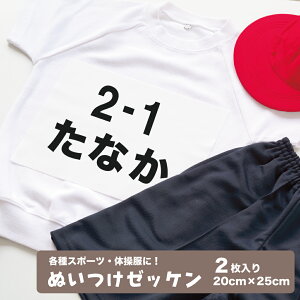 [bP 2 Dt 20cm×25cm ̑ X|[c pCIjA