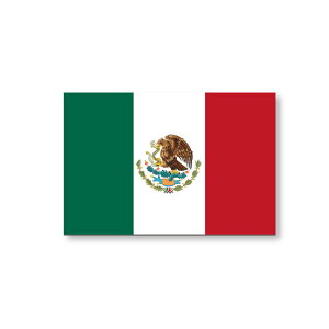 メキシコ 国旗 フェイス ペイント シール  <医療テープと同じ粘着剤使用タイプ>   ( 世界の 国旗 ・ 代表 ・ ラグビー サッカー ワールドカップ スポーツ 観戦 応援 ・ ボディ ペイン