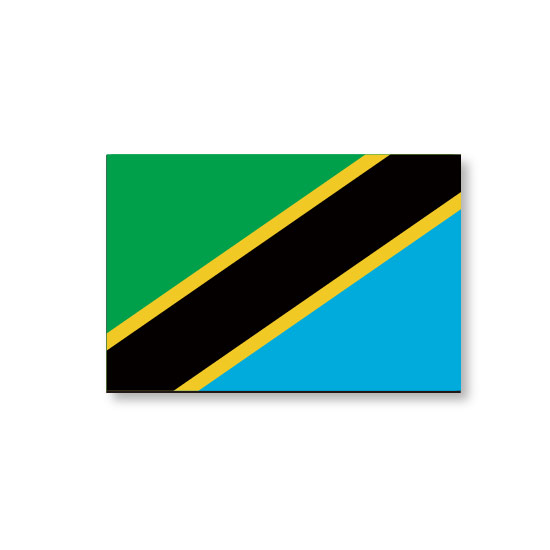 スポーツ観戦やフェス イベントに マスクシールにも 期間限定今なら送料無料 フェイスペイントシール 送料無料激安祭 医療テープタイプ タンザニア国旗