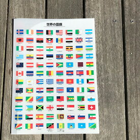 A4 クリア ファイル 世界の 国旗 　 　【 東京カートグラフィック 】　 ( 文房具 文具 ) 　