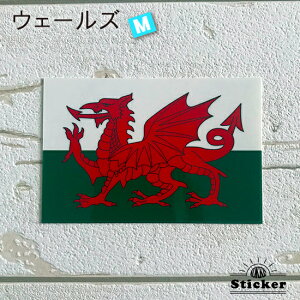 EF[Y@(M) XebJ[@ @@O ό V[@@@( E  h ϐ UV CO s X[cP[X X|[c \ )@