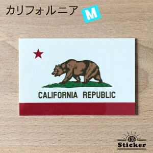 JtHjA B  / AJ (M) XebJ[ @@E  E O ό V[@@@( h ϐ UV / CO s X[cP[X / Or[ TbJ[ X|[c \ ϐ  )@yCALIFORNI