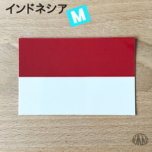 ChlVA (M)  XebJ[ @@E  E O ό V[@@@( h ϐ UV / CO s X[cP[X / Or[ TbJ[ X|[c \ ϐ  )@