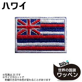 ハワイ 州 旗　 アイロン ワッペン 　 ( 世界の 国旗 ワッペン / パッチ 刺繍 アップリケ 手芸 リメイク / 代表 応援 ワールドカップ ユニフォーム / アメリカ )　