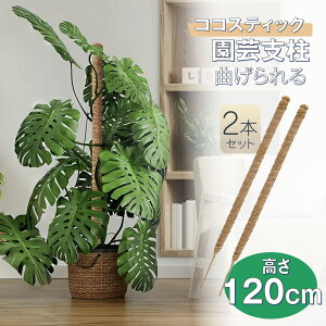 y2{Zbg60cm 80cm 120cmzXe x  ϗtA x Xe wS x RR XeBbN Xex O Ȃ RRXeBbN wSx | RRibc A