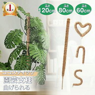 【クーポンで最安1580円★楽天1位★60 80 120cm】植物 モンステラ 支柱 おしゃれ ヘゴ棒 観葉植物 ココヤ…