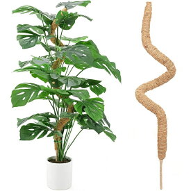 【60cm 80cm 120cm】ココスティック モンステラ 支柱 観葉植物 支柱 ヘゴ支柱 おしゃれ ヘゴ 支柱 棒 ココ スティック モンステラ支柱 ロング 曲げられる ガーデニング 園芸支柱 ココナッツ 支柱 植物サポート つる性植物 ポトス 高さ調整