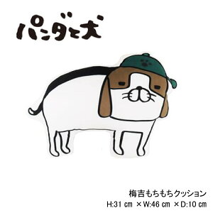 p_ƌ NbVp_Ɣ~gYQ ~g