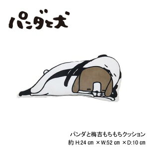 p_ƌ NbVp_Ɣ~gYQ ~g