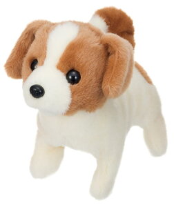 C sbR[l eA drœʂ 3324-6