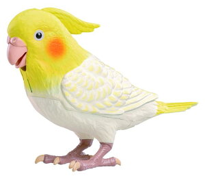 ^Jg~[A[c q[Op[gi[ ƂׂV˃IJCR