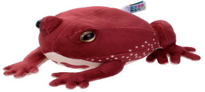 C(IWAYA) GRRGJG(AtNKG) ST}[NF 3ˈȏ  oʂ [}CgC drsv