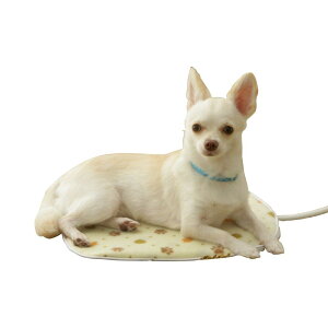 ACXI[} Ckp ybgpzbgJ[ybg |GXe MTCY p^ PHK-M