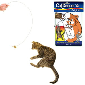 Cat Dancer Products Lbg_T[ (Cat Danser) Lp L炵