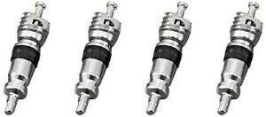 fCgi(Daytona) oCNp ^CouRA4 77542