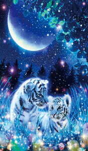 y{z ro[ 1000}CNs[XWO\[pY ̍~Xi26×38jM81-630