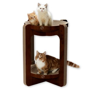 �L�� �o���o���{�E���^���[�c (XL, �_�[�N�u���E��)