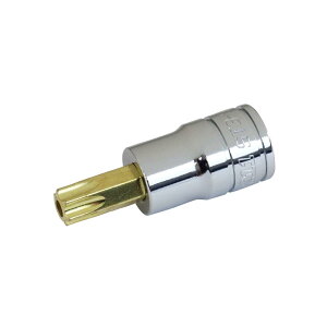 SK11(�G�X�P�[11) �w�b�N�X���[�u�r�b�g�\�P�b�g �����p 9.5mm (3/8�C���`) T50 ST3-50