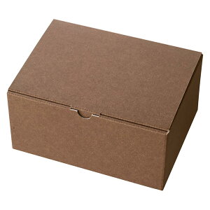 wbY { n Mtg {bNX M W223×H110×D170mm uE 10  HEADS MBR-GB3