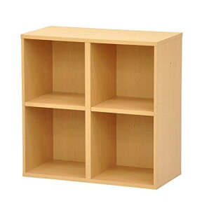 GCEACEGX(AIS) J[{bNX2i 60cm 60cm j[v[W i` NPG-6060